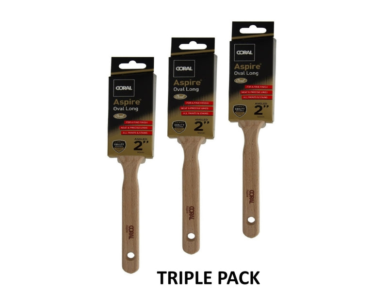 Coral Aspire Paint Brush 2" inch Long Handle Oval Angled Brush